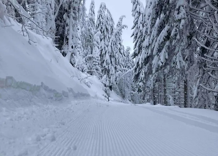 Senka Sky View & Free Parking Apartament