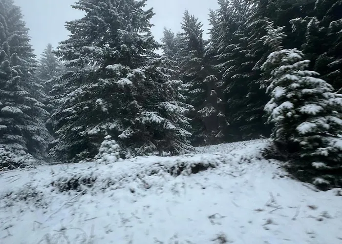 Apartment Senka Sky View & Free Parking *